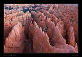 Bryce Canyon 37